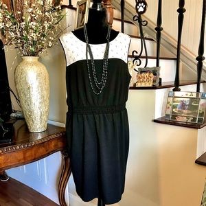 175.  🎉👠👗 👠🎉 HOST PICK!! 🎉👠👗👠🎉 LANE BRYANT B&W Dress Size 14/16